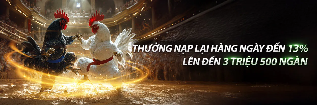 Sân đấu đá gà trực tuyến sôi động tại km3888b đăng nhập